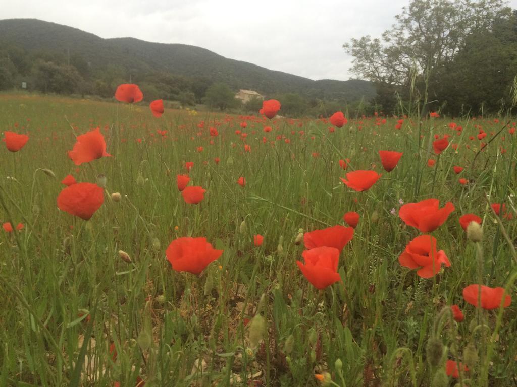 La Rivayne Bed and Breakfast Lourmarin Εξωτερικό φωτογραφία