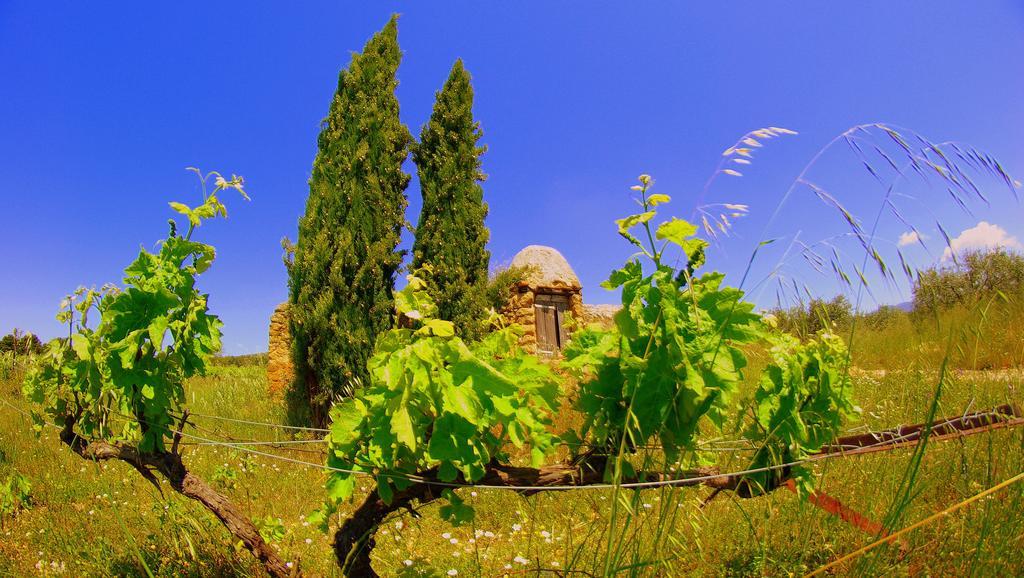La Rivayne Bed and Breakfast Lourmarin Εξωτερικό φωτογραφία